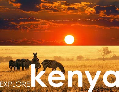 Kenya wildlife Safari