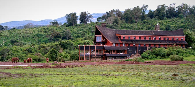 Tree Hotel - Aberdare National Park - Kenya