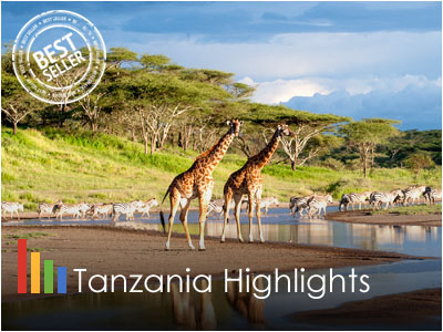 Tanzania Highlights Safari Adventure