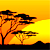 african wildlife safari - website user terms