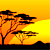 south africa travel safari kruger cape town johannesburg
