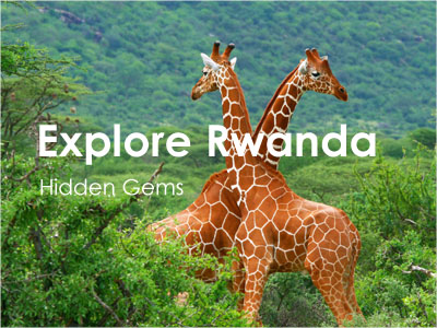 Rwanda Tours Safaris