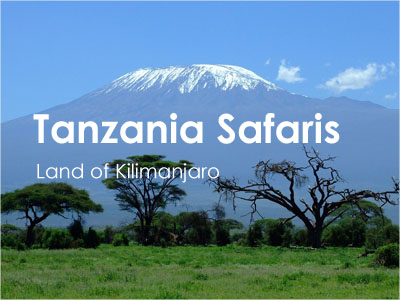 Tanzania Wildlife Safaris