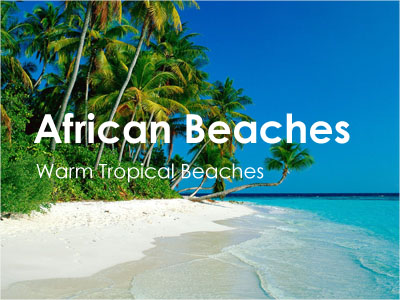 Warm Tropical Beaches