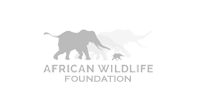 African Wildlife Foundation