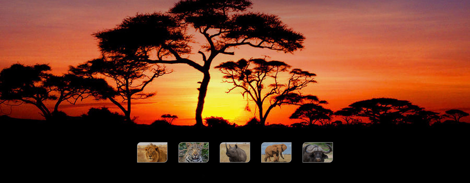 Kenya Best Safari Tour Operator, Africa Leading Tour Company