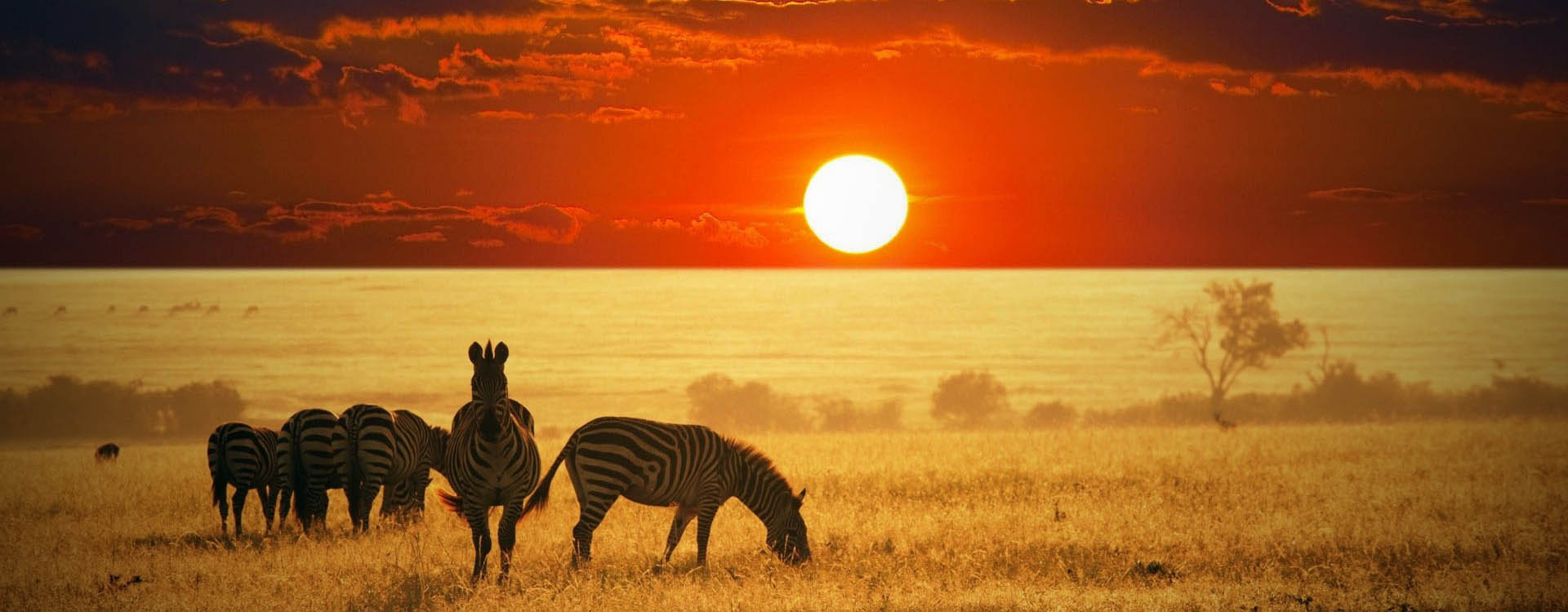 Africa Travel by AfriChoice Safaris