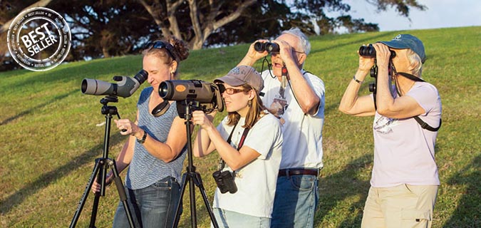 Kenya Birding Bird-Watching Safari