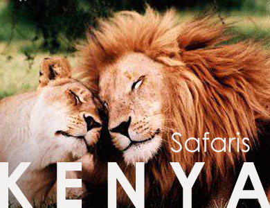 Kenya wildlife Safari