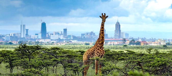 Nairobi National Park - Kenya