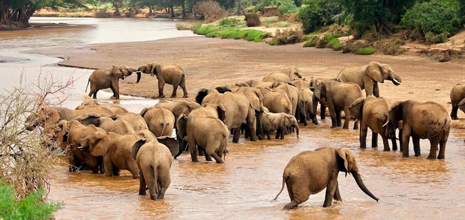 Samburu Flying Package Safari By Air