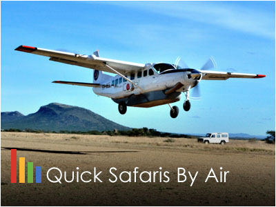 Quick Short Safaris From Nairobi