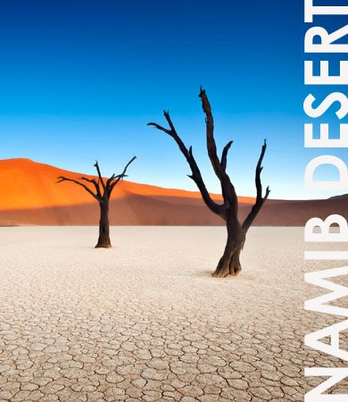 Namibia Desert Safaris