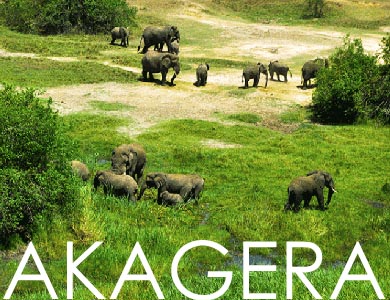 Akagera National Park