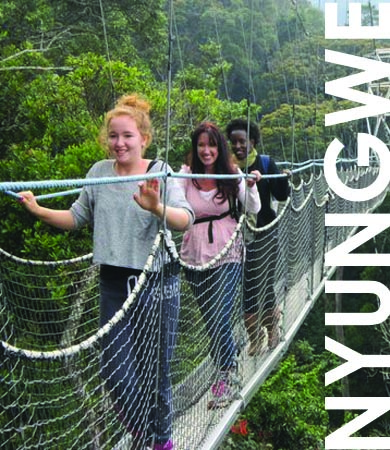 Nyungwe Forest National Park