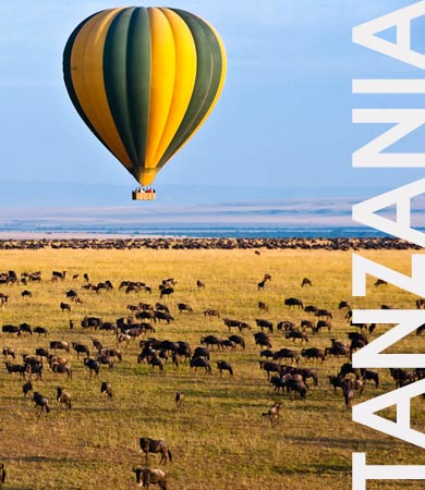 Tanzania Safaris