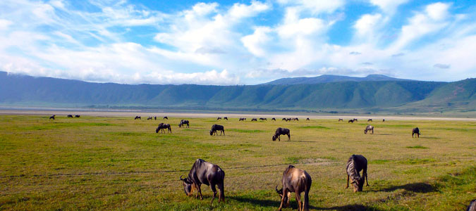 Ngorongoro Conservation Area - Tanzania