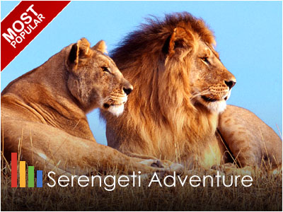 Serengeti Wildlife Safari Adventure