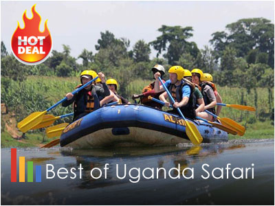 Best of Uganda Safari