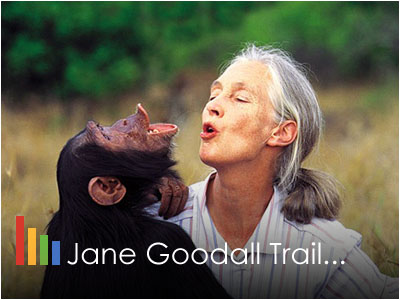 Jane Goodall Chimpanzee Trail