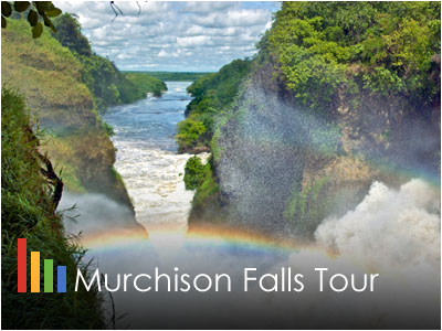 Murchison Falls Safari Tour