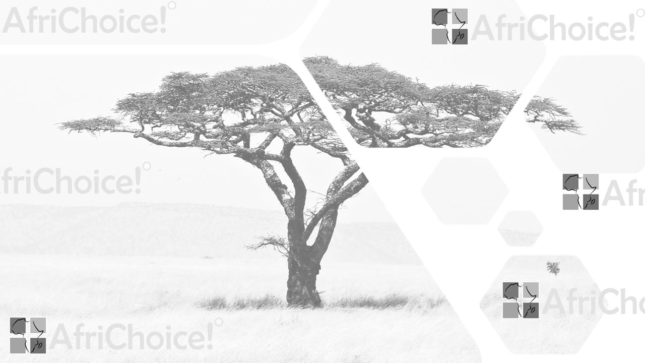 Africa Travel by AfriChoice Safaris